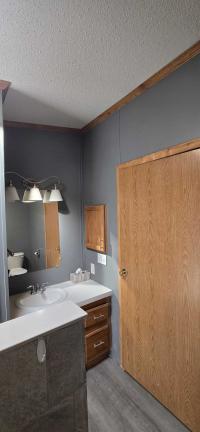 1995 Skyline Manufactured Home