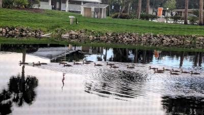 Photo 4 of 25 of home located at 7000 20th St Lot 915 Vero Beach, FL 32966