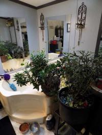 1996 Redman Manufactured Home