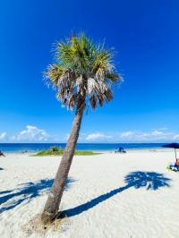 2026 Palm Harbor /Cavco 340EL24482A Mobile Home