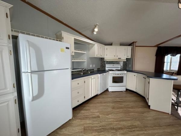 1996 Skyline Mobile Home For Sale