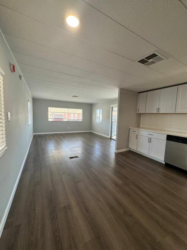 1972 Savoy Mobile Home