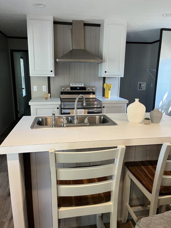 1997 Skyline Mobile Home