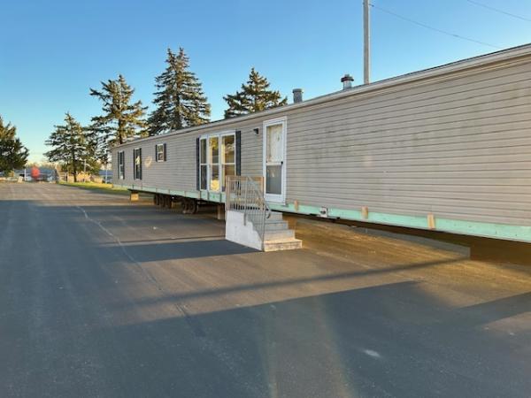 1995 Skyline Mobile Home For Sale