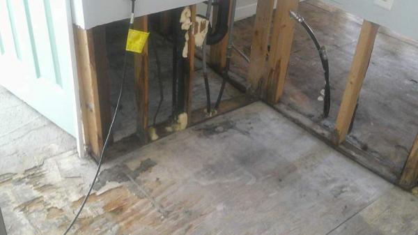 1979 NEWMO Manufactured Home