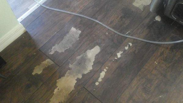 1979 NEWMO Manufactured Home