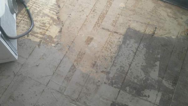 1979 NEWMO Manufactured Home