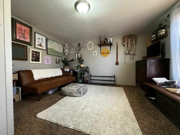 1996 SKYLINE BRKS Mobile Home