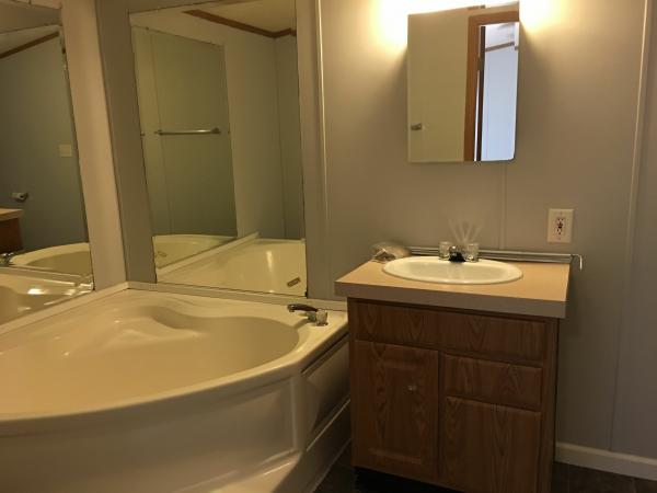 2001 Skyline Winner Mobile Home