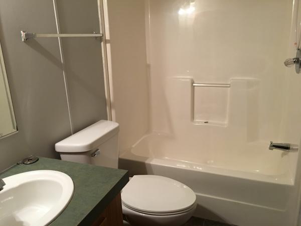 2001 Skyline Winner Mobile Home