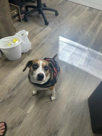 Photo 2 of 14 of home located at 1833 Bloomfield Monroe, MI 48161