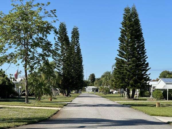 1989 Skyline Mobile Home
