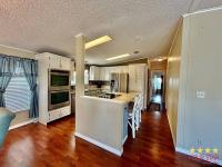 1991 PALM   Home