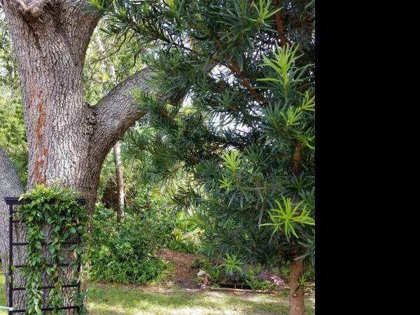 1999 PALM HS Mobile Home