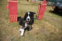 1985 Maverick   Manufactured Home