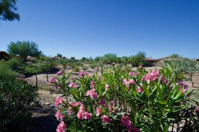 Photo 3 of 28 of home located at 7373 East Us Highway 60, #211 Gold Canyon, AZ 85118