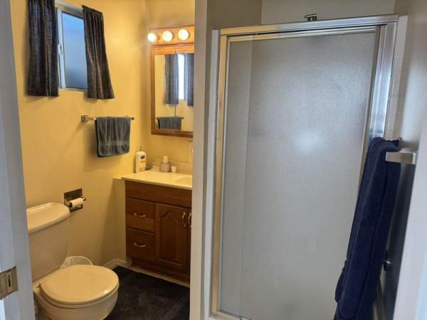 1988 Skyline Manufactured Home