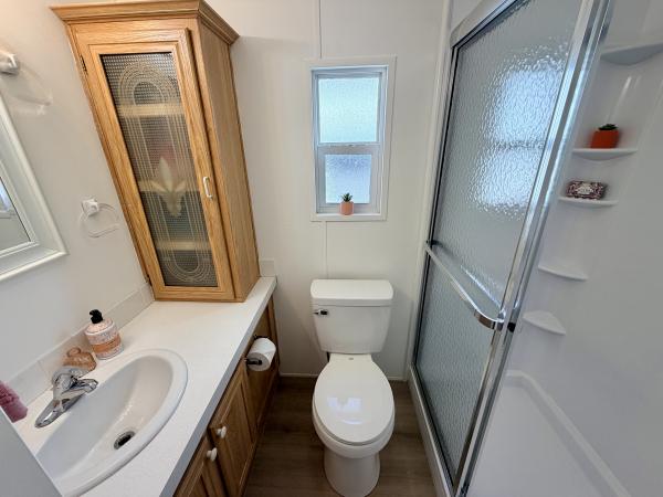 1998 Skyline Mobile Home