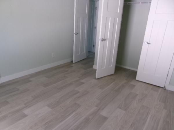 2024 Champion   Home