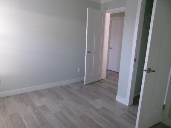 2024 Champion   Home