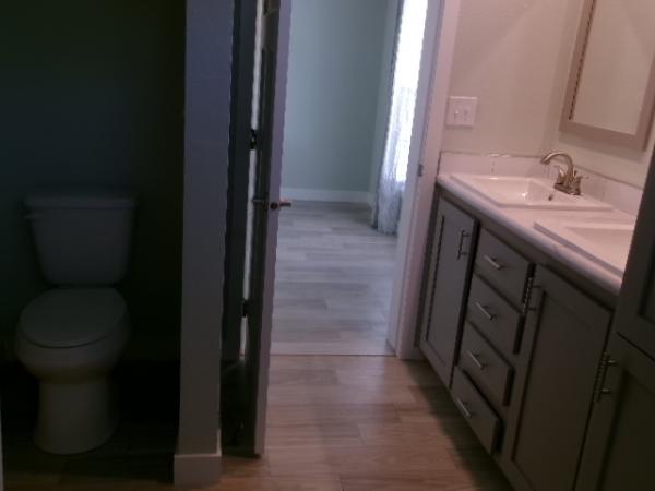 2024 Champion   Home