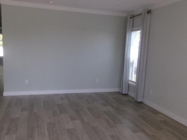 2024 Champion   Home