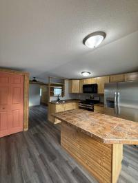 1996 Skyline Manufactured Home