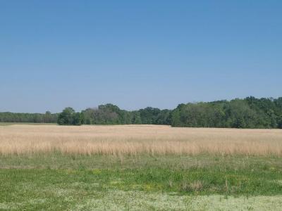 Mobile Home at Jinks Rd Columbia, LA 71418