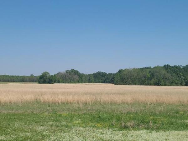 Photo 1 of 2 of home located at Jinks Rd Columbia, LA 71418