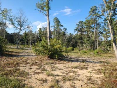 Mobile Home at Silver Run Rd #C Poplarville, MS 39470