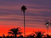 1982 Palm Harbor Manufactured Home