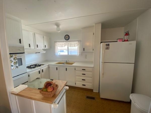 1970 Skyline Manufactured Home