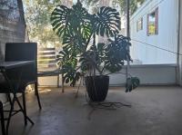 1973 BAYW Manufactured Home