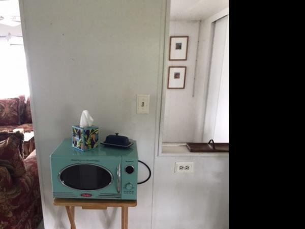 1965 Pace Mobile Home