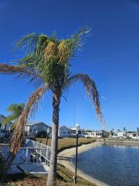 2005 Palm Harbor HS Mobile Home