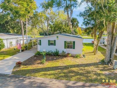 Mobile Home at 1846 Persimmon Circle Edgewater, FL 32132