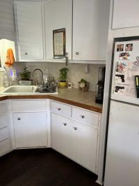 1965 Chateau Mobile Home