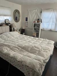 1965 Chateau Mobile Home