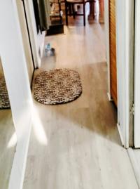 BISCAYNE Mobile Home