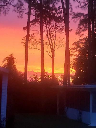 Photo 5 of 49 of home located at 129 Woods N Water Drive Mount Dora, FL 32757