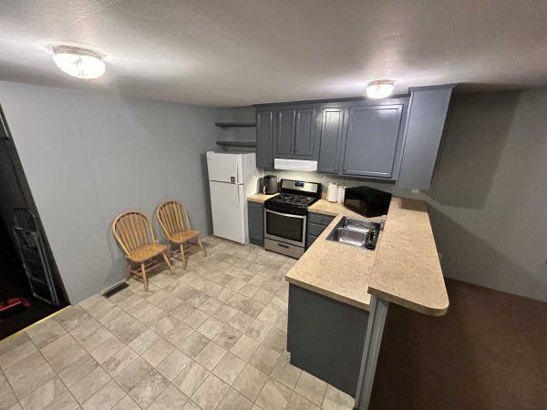 2008 Skyline Mobile Home