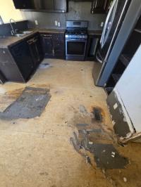 2014 LAREDO Manufactured Home