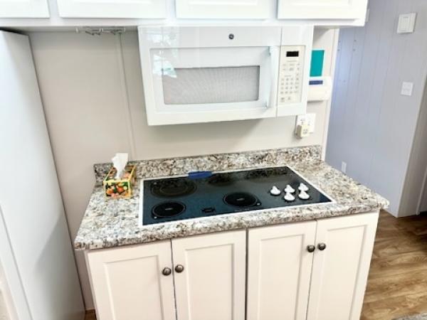 1974 GOLD Manufactured Home