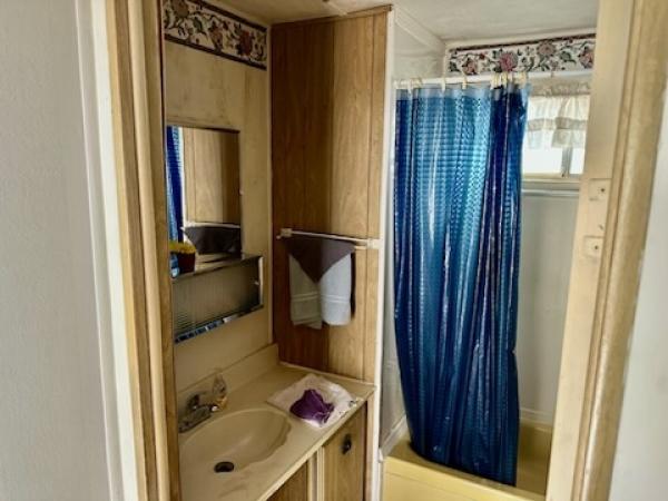 1970 Skyline Manufactured Home