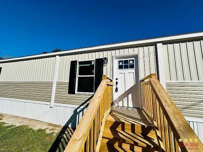 Mobile Home at 267 Circle Dr Deland, FL 32724