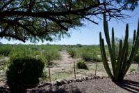 2002 Cavco Apache  Manufactured Home