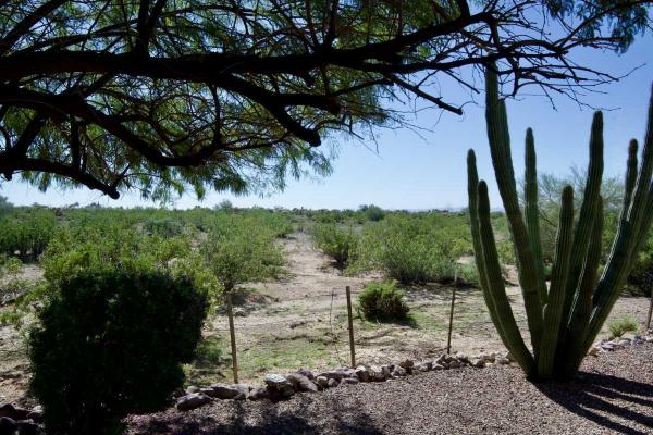 2002 Cavco Apache  Manufactured Home