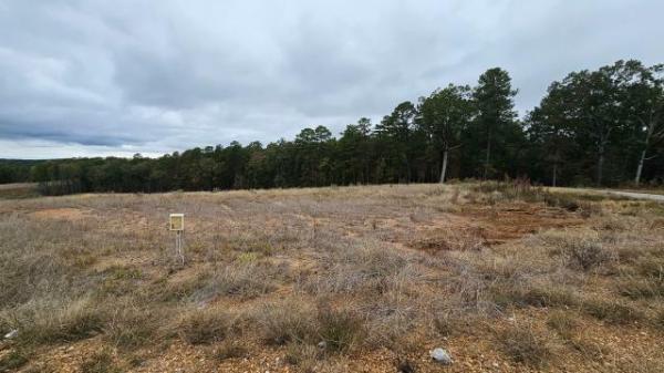 Photo 1 of 2 of home located at Hugh White State Park Rd Grenada, MS 38901