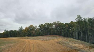Mobile Home at Hugh White State Park Rd Grenada, MS 38901