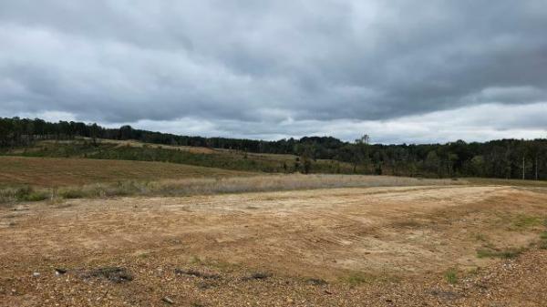 Photo 1 of 2 of home located at Hugh White State Park Rd Grenada, MS 38901